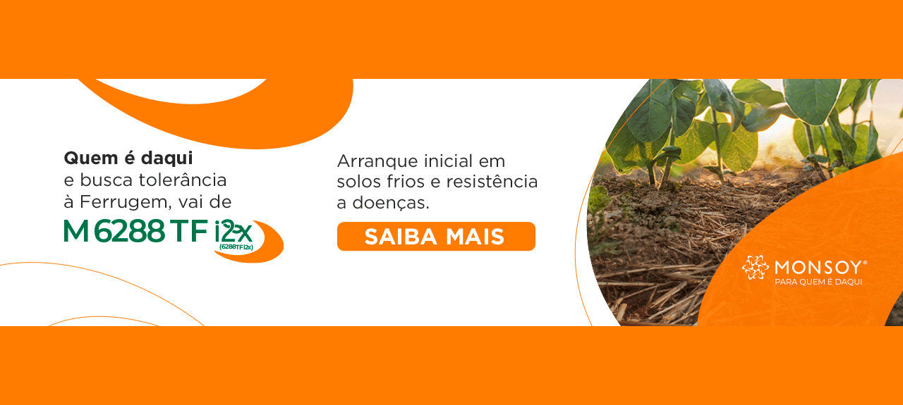 teste